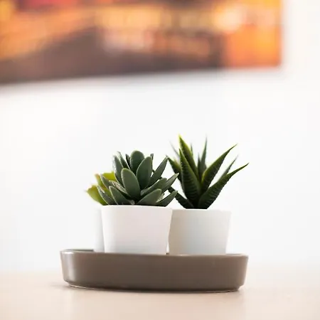 Corte Sant'orsola 4 ボローニャ