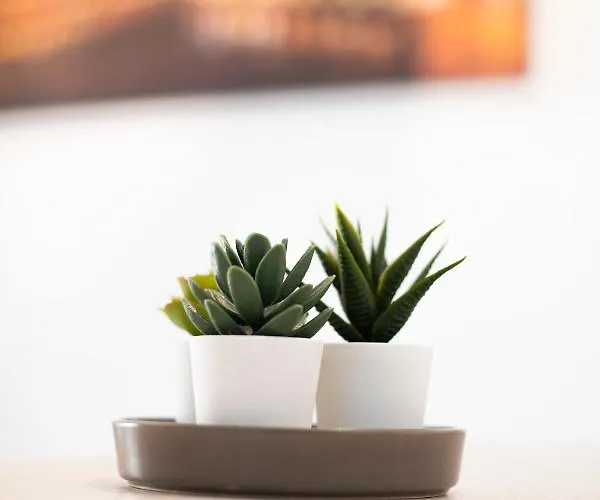 Corte Sant'orsola 4 Μπολόνια