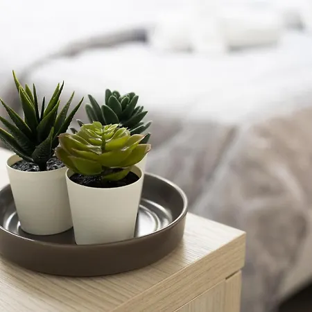 Corte Sant'orsola 4 Bologna