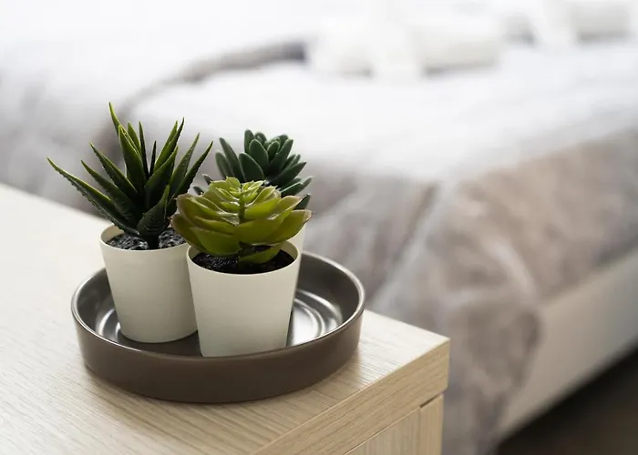 Corte Sant'orsola 4 볼로냐